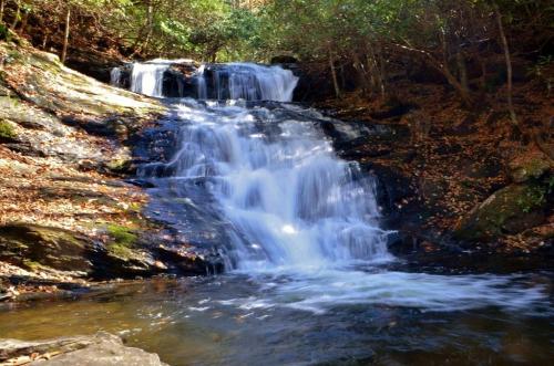 A serene waterfall cascades over rocks, surrounded by lush greenery and fallen leaves in a tranquil forest setting.