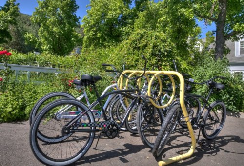 A group of bicycles parked near lush greenery and trees on a sunny day.