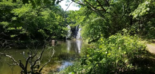 A serene landscape featuring a waterfall surrounded by lush greenery and a calm pond reflecting the trees.