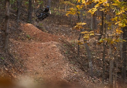 A mountain biker performs a jump on a dirt trail surrounded by autumn foliage in a wooded area.