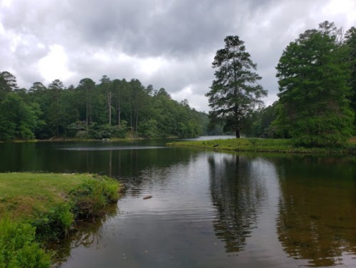 A serene lake surrounded by lush greenery and tall trees under a cloudy sky. Reflections shimmer on the water's surface.