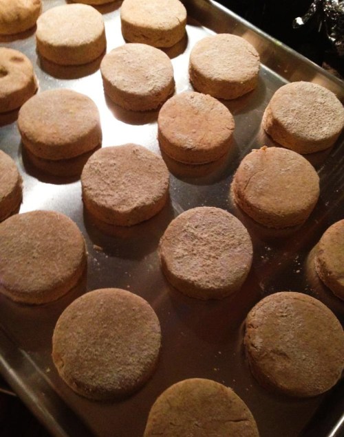 A tray of round, uncooked biscuits dusted with flour, ready for baking.