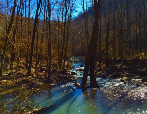 A serene river flows through a forest with bare trees and rocky banks, reflecting blue sky and sunlight.