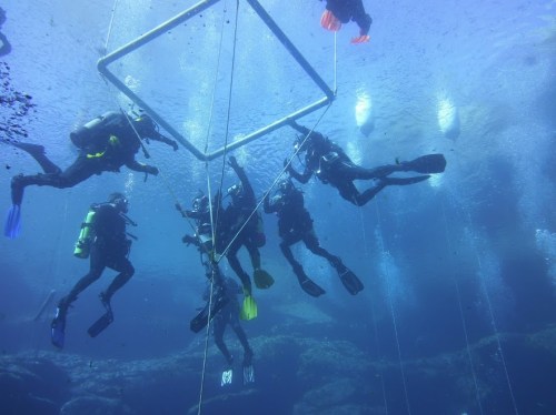A group of divers in wetsuits exploring underwater, with bubbles and a square frame structure above them.