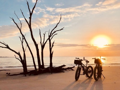 Two bicycles on a beach at sunset, with a silhouette of a bare tree in the background and calm water.