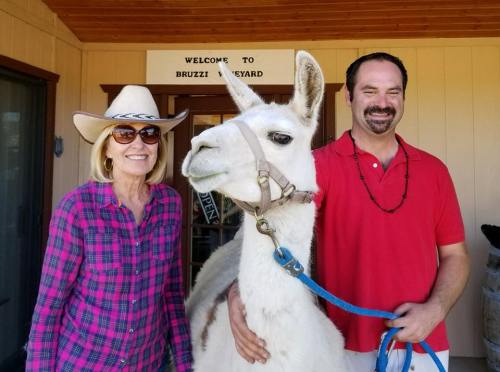 A smiling woman in a cowboy hat and a man with a beard pose with a llama outside a vineyard.