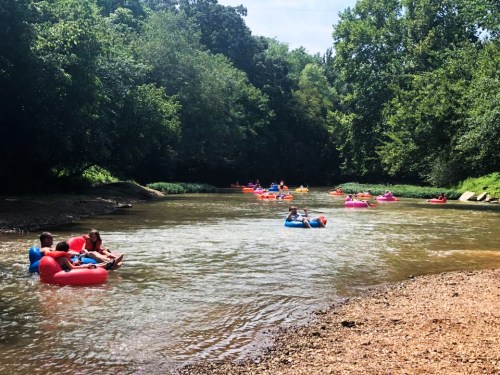 People floating on colorful inner tubes in a calm river surrounded by lush greenery on a sunny day.