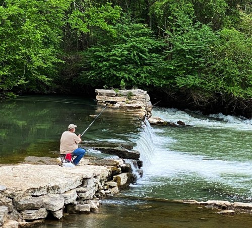 A person fishing on a rocky ledge by a flowing river, surrounded by lush green trees.