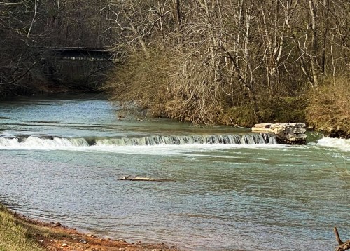 A serene river scene with gentle ripples and trees lining the banks, creating a peaceful natural setting.