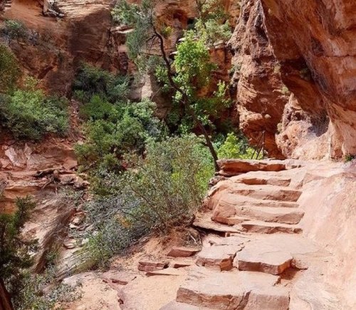 A rocky path winds through a canyon, surrounded by lush greenery and steep, textured rock walls.