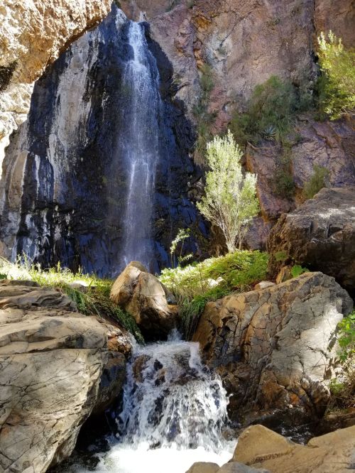 A serene waterfall cascades over rocky cliffs, surrounded by lush greenery and sunlight filtering through the trees.