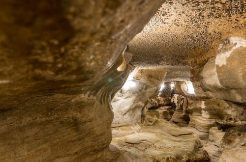 A dimly lit cave interior with smooth rock formations and subtle lighting illuminating the walls.