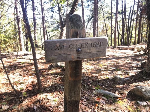Wooden signpost reading "Cave Creek Trail" in a forested area with trees and scattered leaves on the ground.