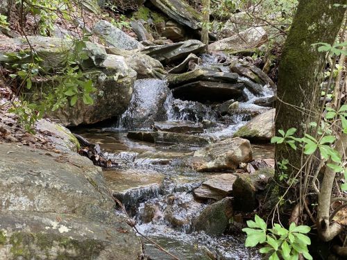 A serene stream flows over rocks, surrounded by lush greenery and trees in a natural setting.