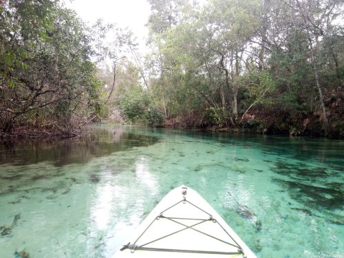 A kayak glides through a serene, clear river surrounded by lush greenery and trees.