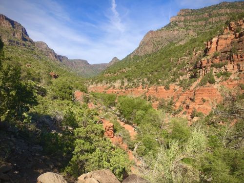 A scenic view of a canyon with red rock formations and lush green vegetation under a clear blue sky.