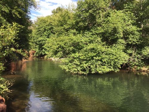 A serene river surrounded by lush green trees under a clear blue sky.