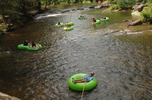 People floating on green inner tubes in a river surrounded by trees and rocks on a sunny day.