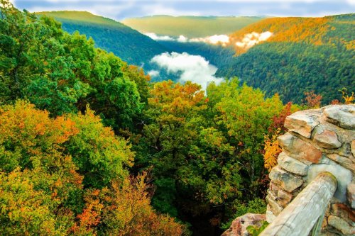 A scenic view of a lush valley with colorful autumn foliage and misty clouds in the distance.