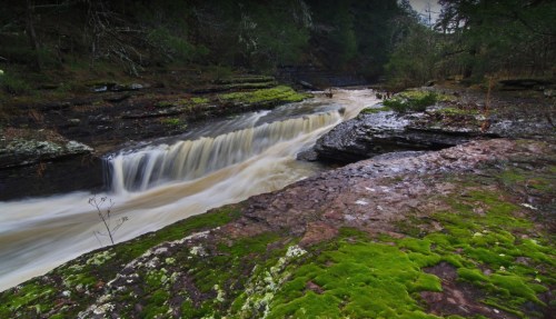 A serene river flows over rocky terrain, surrounded by lush green moss and trees in a tranquil natural setting.
