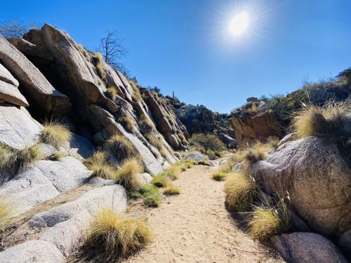 A sunlit desert path winds between rocky cliffs, surrounded by sparse grass and shrubs under a clear blue sky.