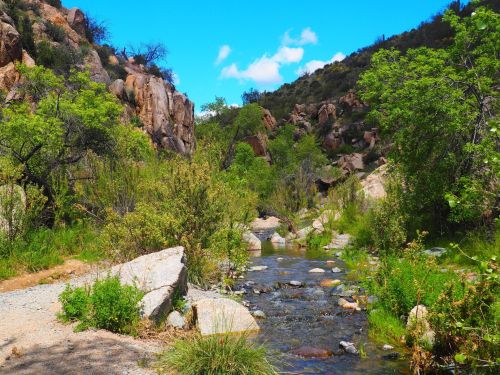 A serene landscape featuring a winding stream surrounded by lush greenery and rocky hills under a bright blue sky.