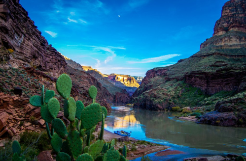 A serene river flows through a canyon, surrounded by rocky cliffs and cacti under a bright blue sky.