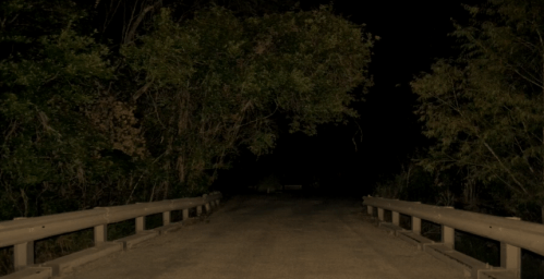 A dark, empty road leads to a bridge surrounded by dense trees, creating a mysterious and eerie atmosphere.