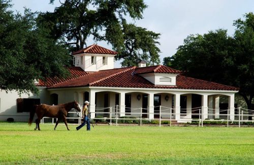 A person walks a horse in front of a charming house with a red tile roof, surrounded by green grass and trees.