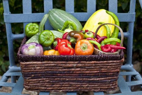A woven basket filled with a variety of colorful vegetables, including peppers, zucchini, and squash, on a blue chair.