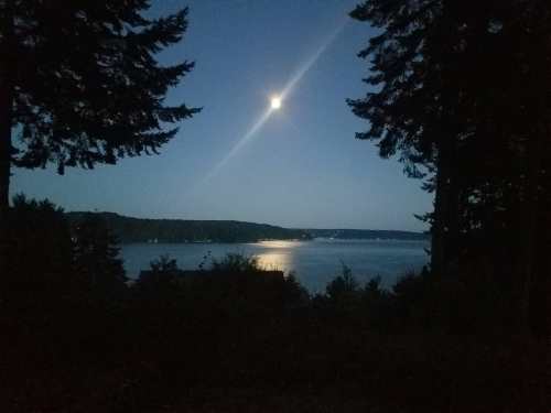A serene night scene with a bright moon reflecting on calm water, framed by tall trees.