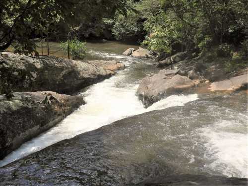 A serene river flows over rocky terrain, surrounded by lush greenery and trees.