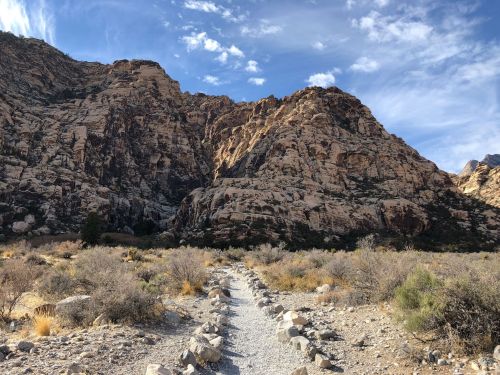 A rocky trail leads through a desert landscape, flanked by towering cliffs under a blue sky with scattered clouds.