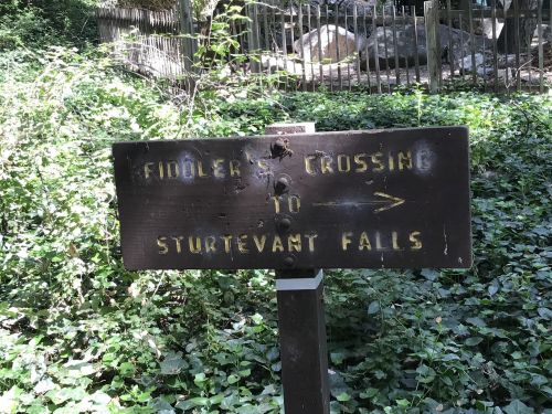 A wooden sign pointing to "Fiddler's Crossing" and "Sturtevant Falls" surrounded by greenery.