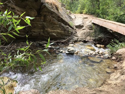 A serene stream flows over rocks, with a wooden bridge crossing nearby, surrounded by lush greenery.