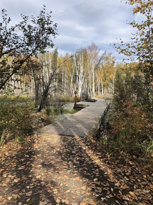 A wooden bridge over a calm waterway, surrounded by autumn foliage and trees under a cloudy sky.
