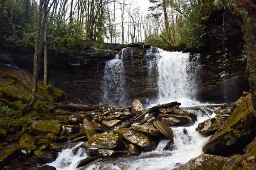 A serene waterfall cascades over rocky terrain, surrounded by lush trees and a tranquil forest setting.