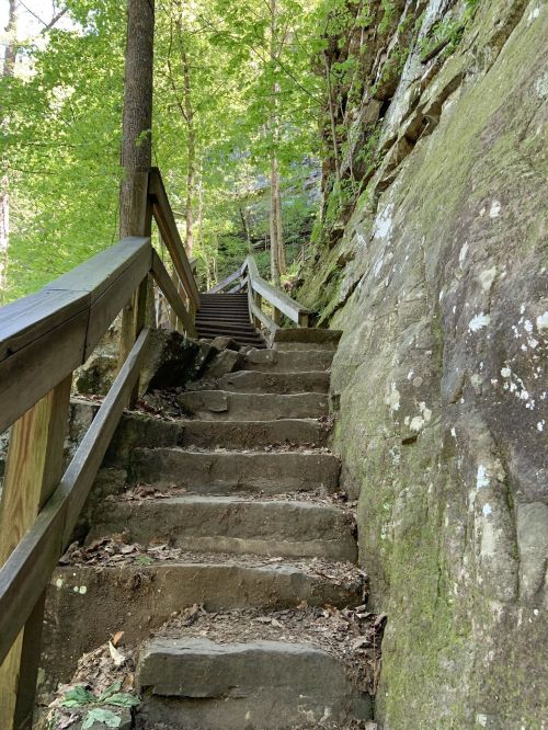 A wooden staircase winds up through a lush green forest, flanked by rocky cliffs and trees.