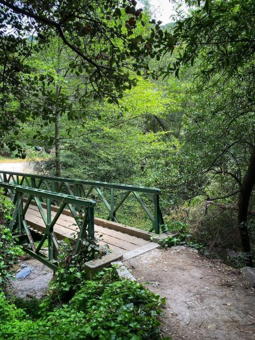 A small green bridge over a stream, surrounded by lush greenery and trees in a peaceful natural setting.