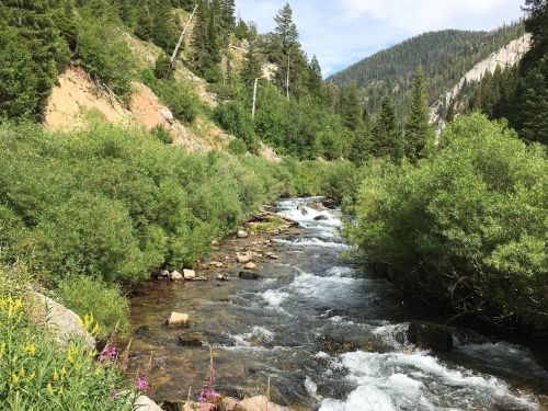 A flowing river surrounded by lush greenery and trees, with mountains in the background under a clear blue sky.