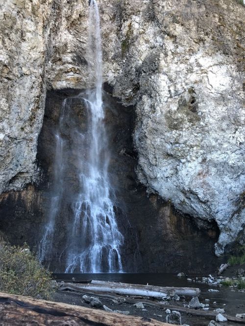 A cascading waterfall flows down a rocky cliff into a serene pool, surrounded by lush greenery and fallen logs.