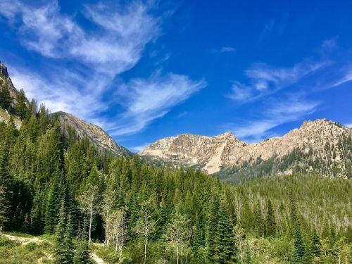 A scenic view of mountains under a blue sky, surrounded by lush green forests and wispy clouds.