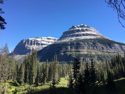 A scenic view of snow-capped mountains surrounded by lush green trees under a clear blue sky.