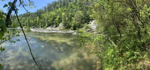 A serene river scene surrounded by lush greenery and trees, with a waterfall in the background under a clear blue sky.