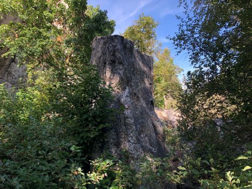 A large rock formation surrounded by lush greenery and trees under a clear blue sky.