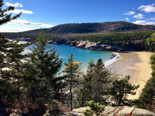 A scenic view of a sandy beach surrounded by lush green trees and hills under a clear blue sky.