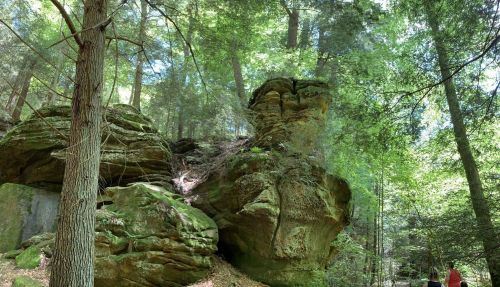 A rocky formation surrounded by lush green trees in a forested area, with a path leading through the woods.