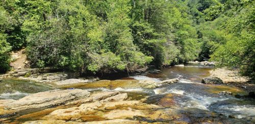 A serene river flows through a lush green forest, with rocks lining the water's edge under bright sunlight.