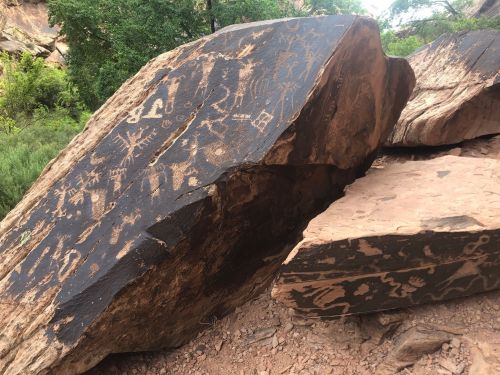 Petroglyphs etched into large rocks, showcasing ancient symbols and designs amidst a natural landscape.