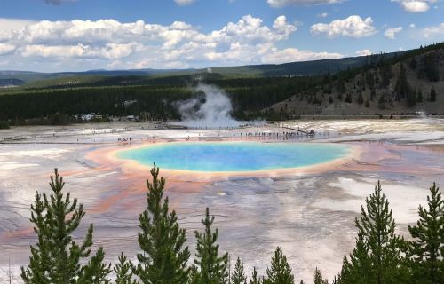 A vibrant geothermal pool surrounded by trees, with steam rising and visitors in the distance at Yellowstone National Park.